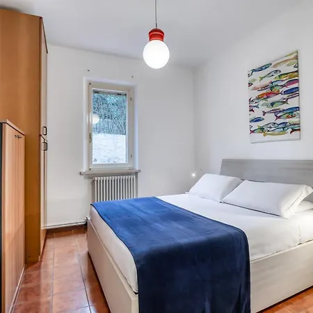 Ciclamini 29 - * Numana