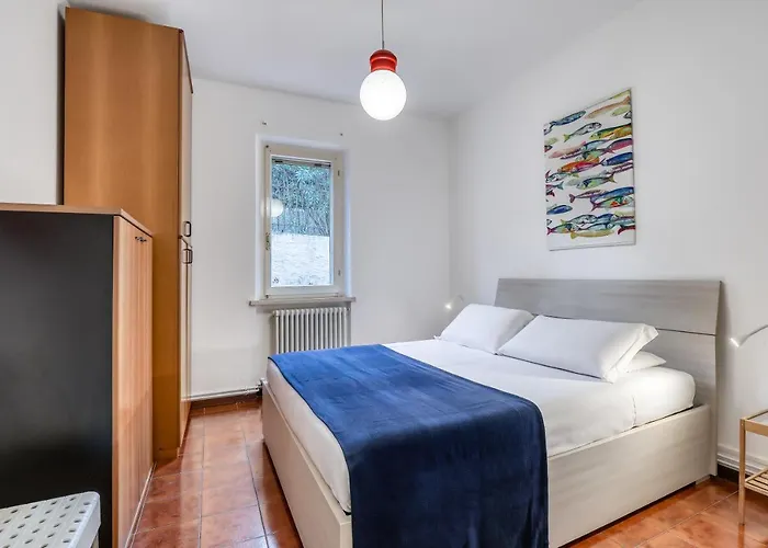 Ciclamini 29 - * Numana